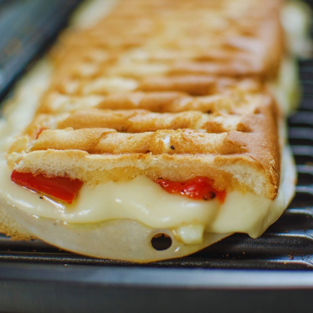Panini Press: The Ultimate Guide to Choosing the Best Panini Press for Your Kitchen