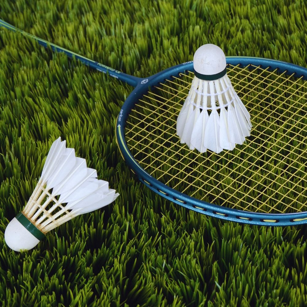 Badminton Set: Ultimate Guide to Choosing the Best for Endless Backyard Fun