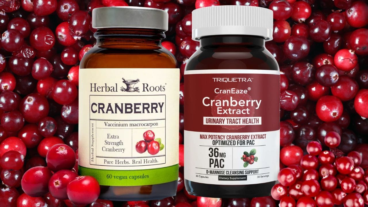 Cranberry Supplement: Discovery the Best for Urinary Health Support