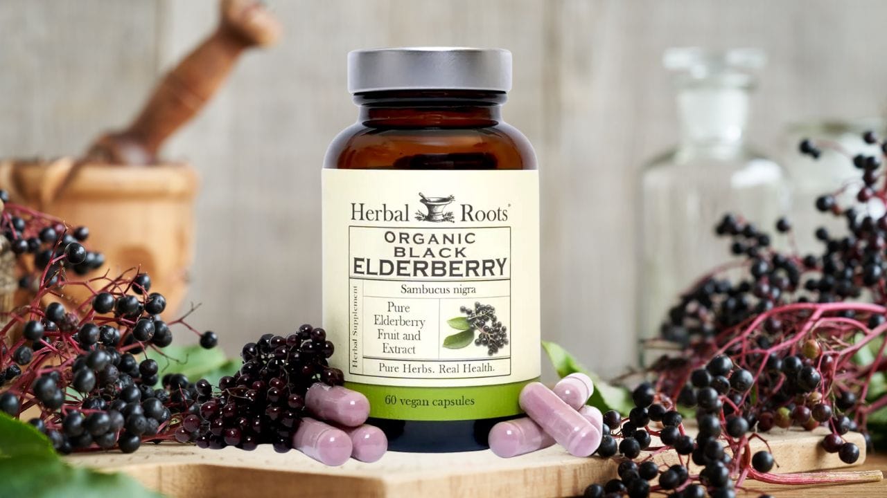 Discover Herbal Roots Organic Black Elderberry for Wellness Benefits