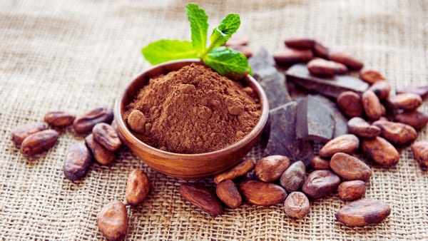 Raw Cacao Powder: The Ultimate Guide to the Best on the Market