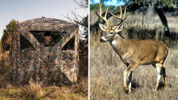 Hunting Tent: TideWe See Through Blind 360° Silent with Swing Door Review