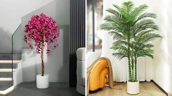 Best Indoor Plants: Dr. Planzen Realistic Top Picks for Every Home Environment