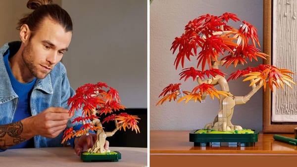The Enchanting World of LEGO Botanicals: Enhance Your Space