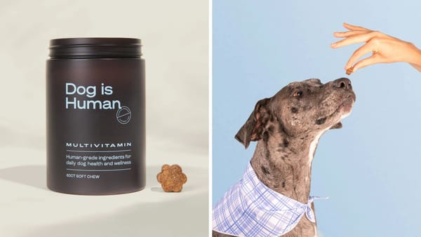 Dog is Human Multivitamin for Dogs: Boost Your Dog’s Health