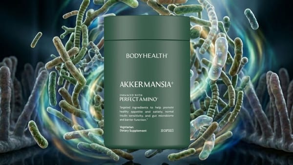 BodyHealth Akkermansia+ Supplement: The Powerful Gut Health Supplement Designed to Support Metabolic Balance